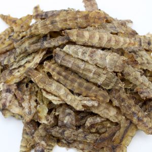 dried mantis shrimps